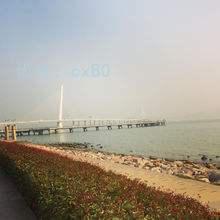 λ