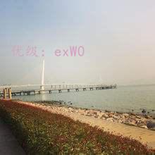 λ
