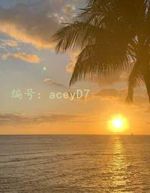 ɹ